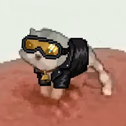 Low Quality Cat #2428