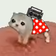3667