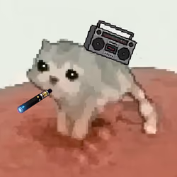 Low Quality Cat #1372