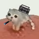 1372