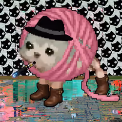 Low Quality Cat #4242
