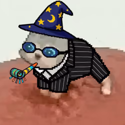 Low Quality Cat #1563