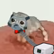 2702