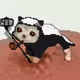 Low Quality Cat #3240