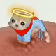 686