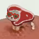 2789
