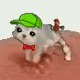 2584