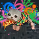 Low Quality Cat #3929