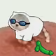 3684