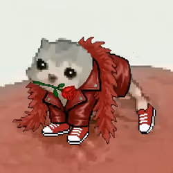 Low Quality Cat #3613