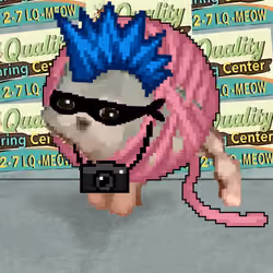 Low Quality Cat #2999