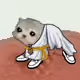 Low Quality Cat #2380