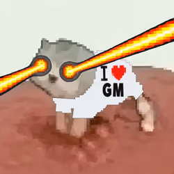 Low Quality Cat #3636