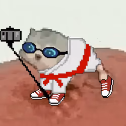 Low Quality Cat #990