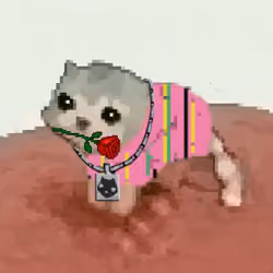 Low Quality Cat #552