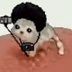 4114