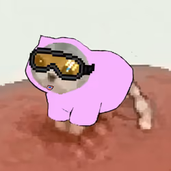 Low Quality Cat #3589