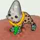 1134