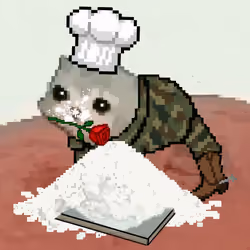 Low Quality Cat #538