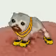 2544