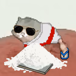 Low Quality Cat #3106