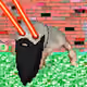 2736
