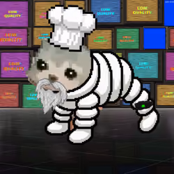 Low Quality Cat #1648