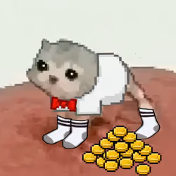 Low Quality Cat #3819