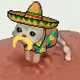 Low Quality Cat #3816