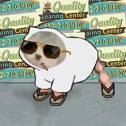 Low Quality Cat #3189