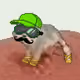 Low Quality Cat #3823