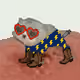 Low Quality Cat #1014