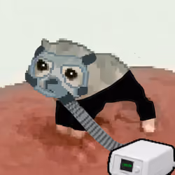 Low Quality Cat #2611