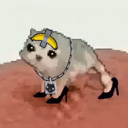 Low Quality Cat #3441