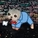 3534