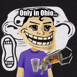 Item Media