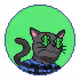 Catcoin #569