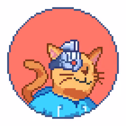 Catcoin #572
