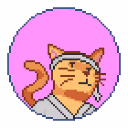 Catcoin #518