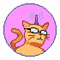 Catcoin #76