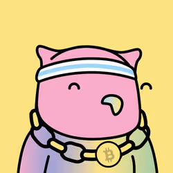146