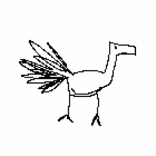 Birdjpg