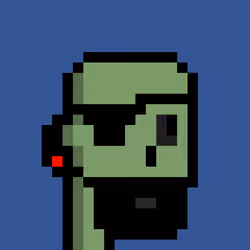 Skullies Club #335