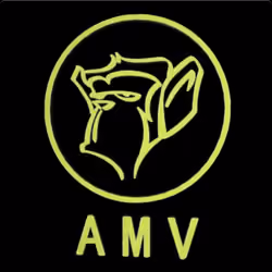 ApeMinerVerse Basic