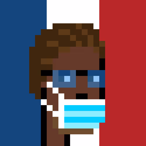 The French Official