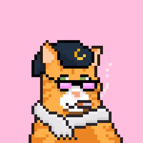Mooncats Reimagined
