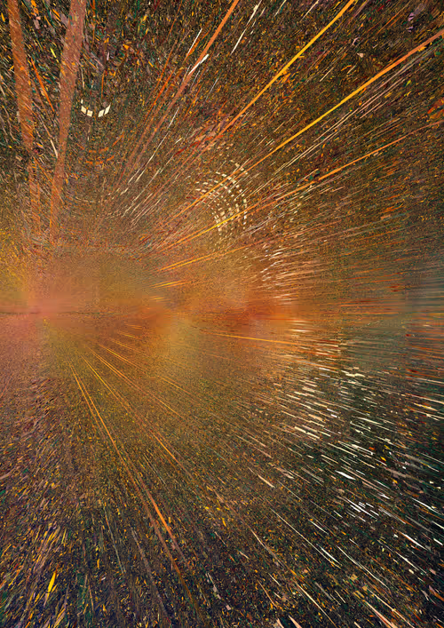 Item #921156869 Media