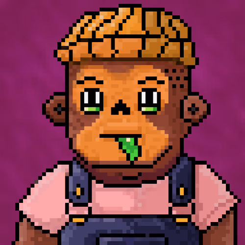 Item #892 Media