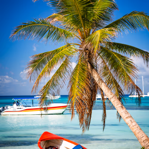 Saona Edition By Abrahanny