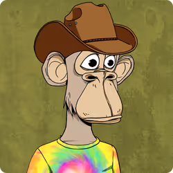 9262